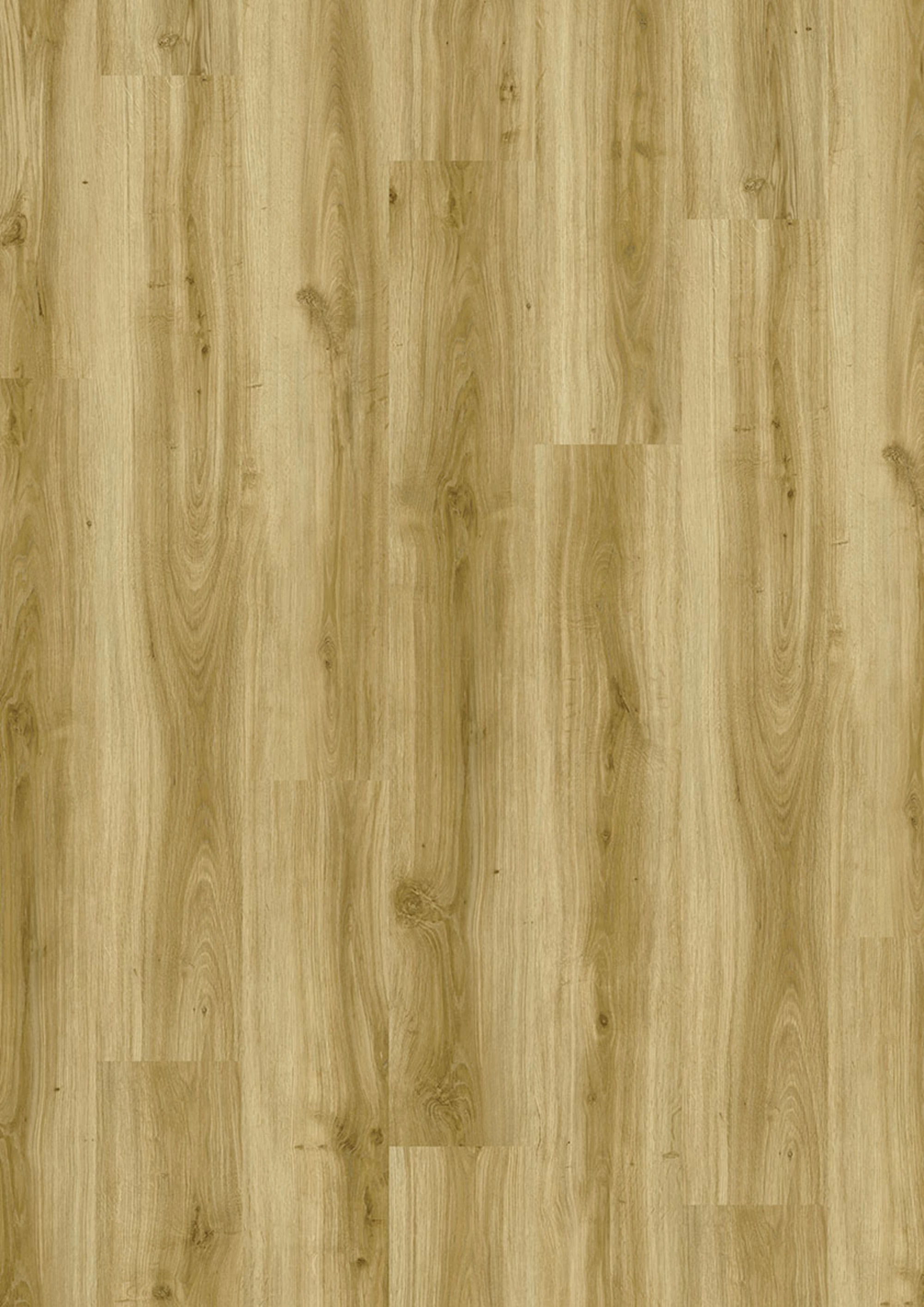 Design 555 Evolut 2,5/0,55mm Klebe | JOKA