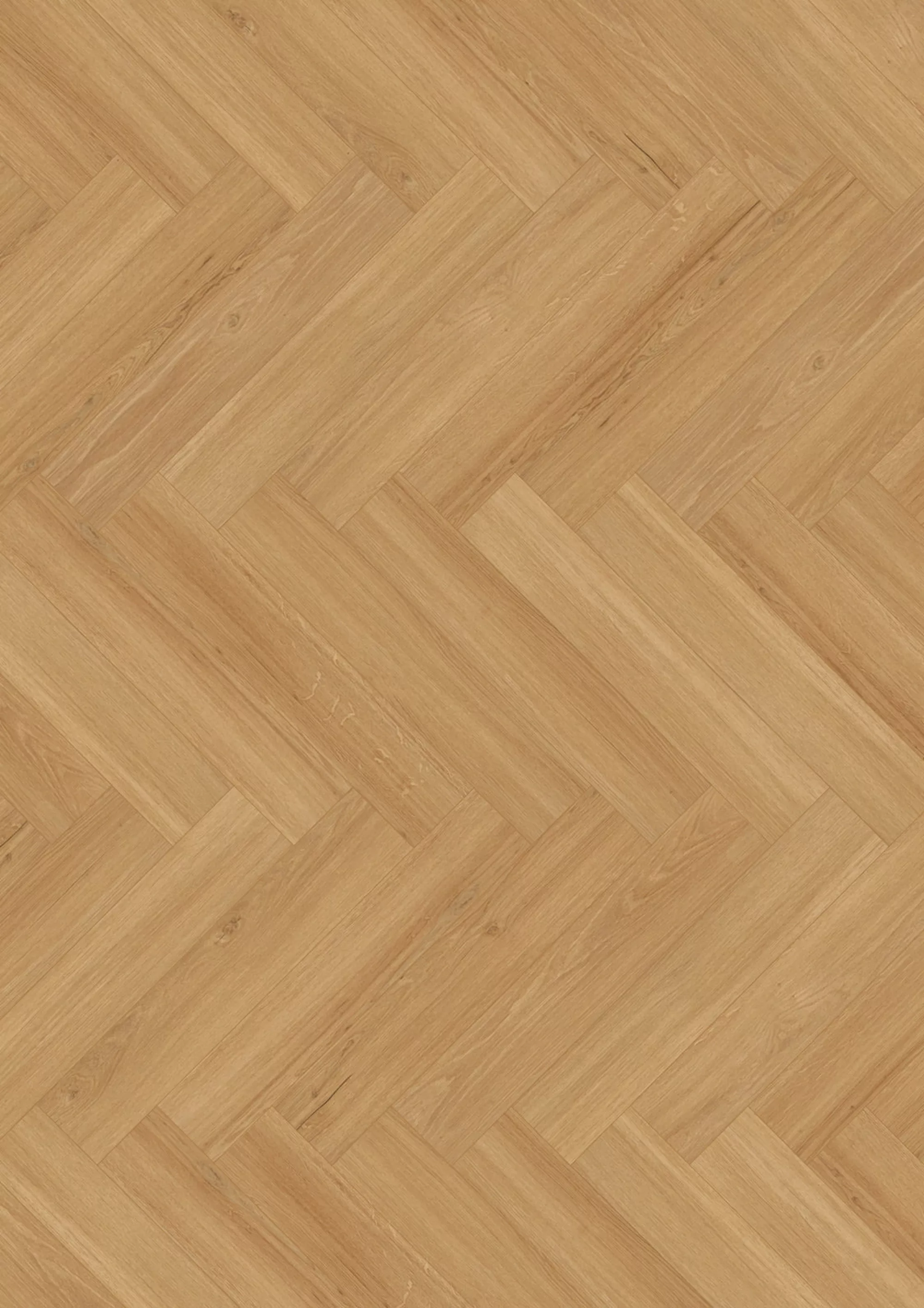 トコペイディア Panele podłogowe QUICK STEP Majestic wodoodporne Dąb Nizinny