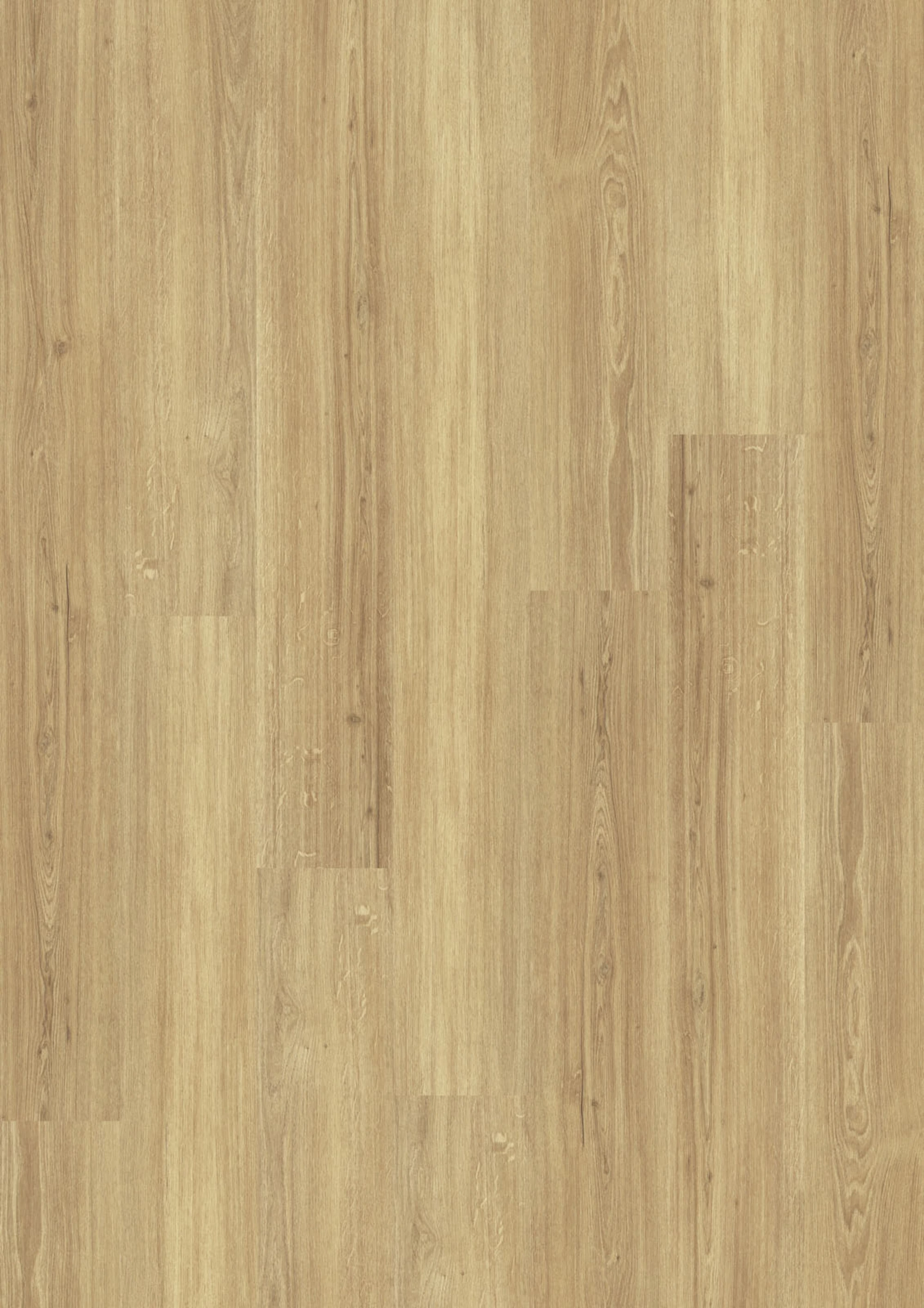 DESIGN 555 2,5mm/NS 0,55mm Dryback | JOKA