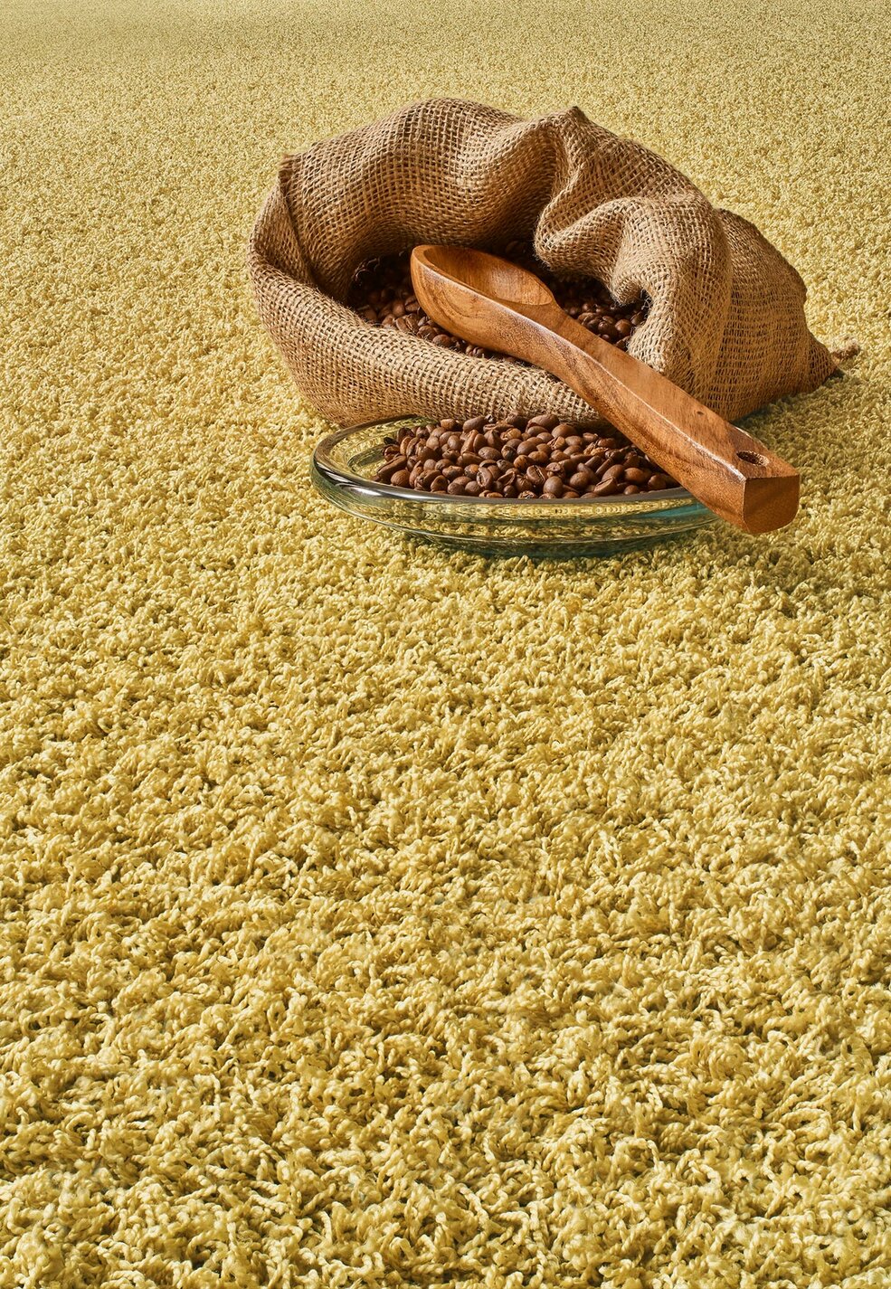 Nahaufnahme eines gelben, hochflorigen JOKA Teppichs. Auf dem Teppich liegt ein goldener Schal.