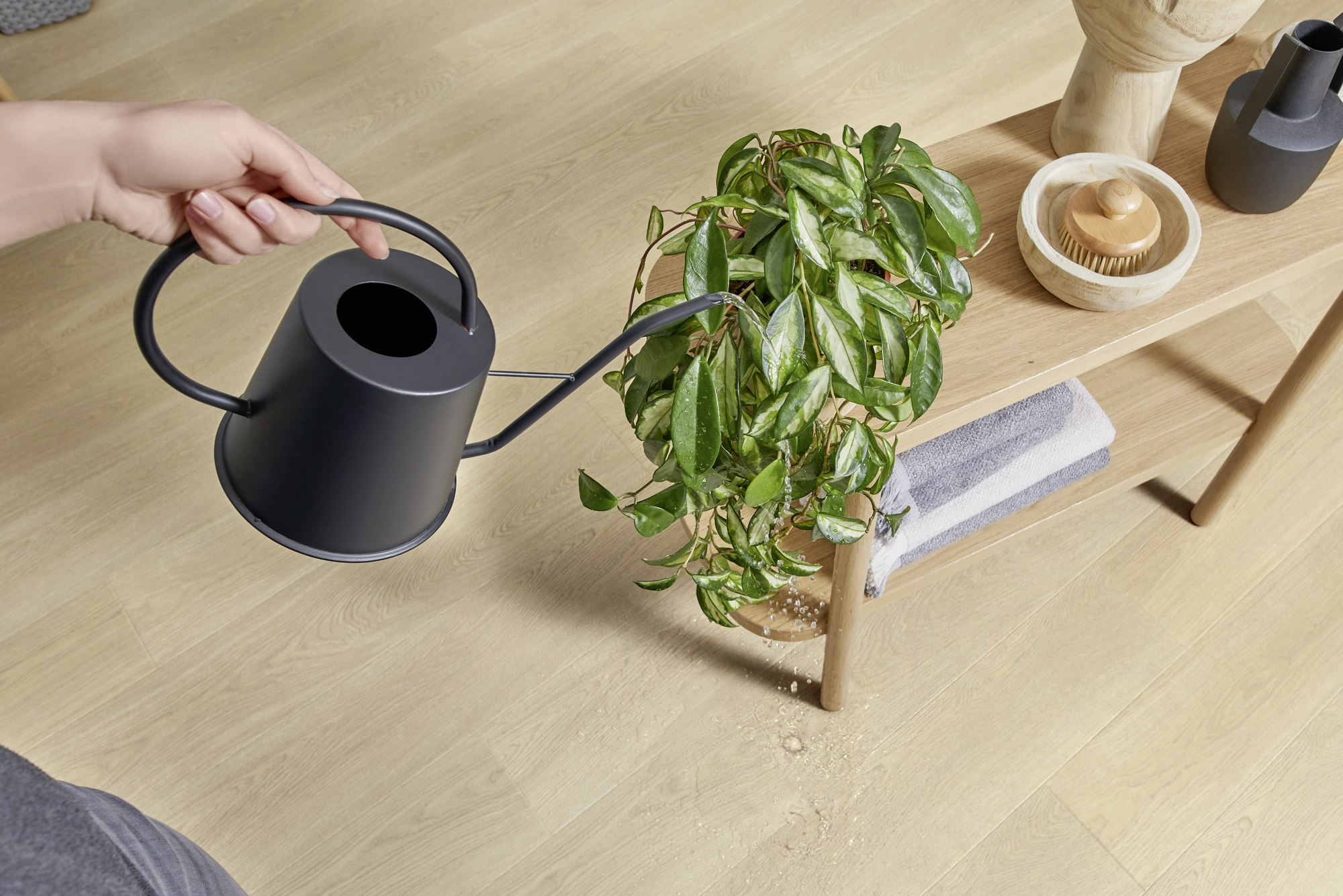 Torresです。 JOKA XPLORA NEXT 833 FINESSE Naturdesignboden mit PRO-C.Xpress