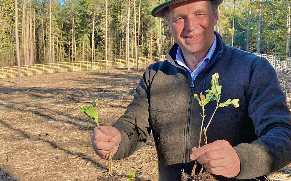 Foto von Jörg Jordan im Wald mit einem Setzling in der Hand.
